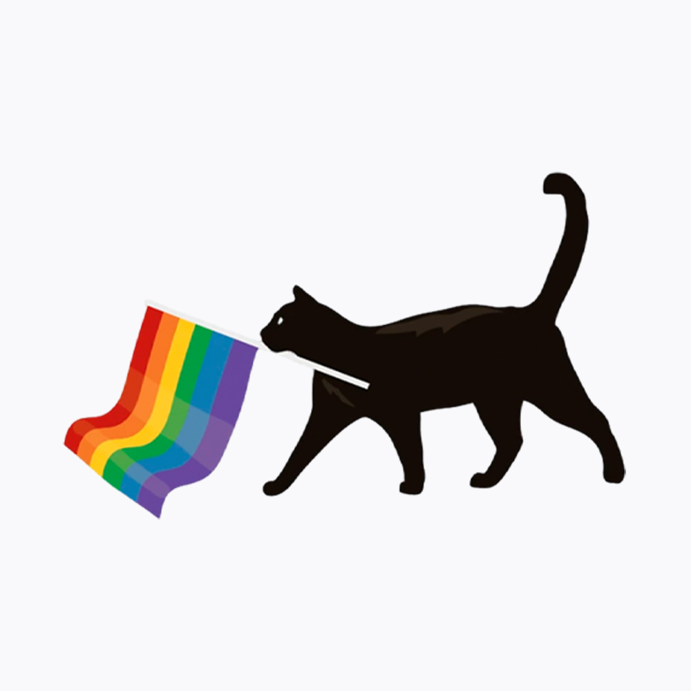 A Little Gay Cat Friend Washed T-Shirt