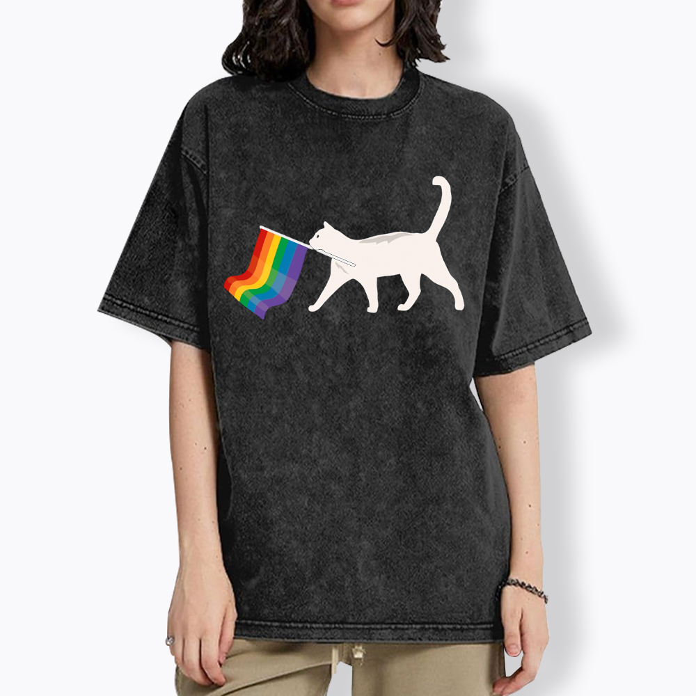 A Little Gay Cat Friend Washed T-Shirt