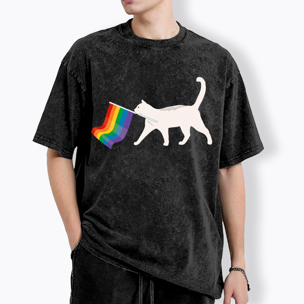 A Little Gay Cat Friend Washed T-Shirt