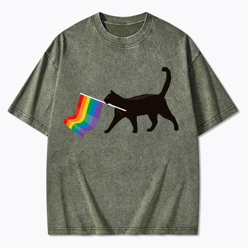 A Little Gay Cat Friend Washed T-Shirt