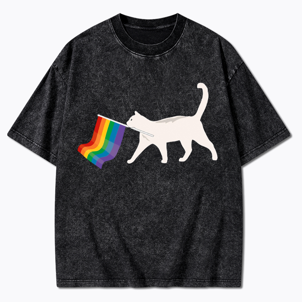 A Little Gay Cat Friend Washed T-Shirt