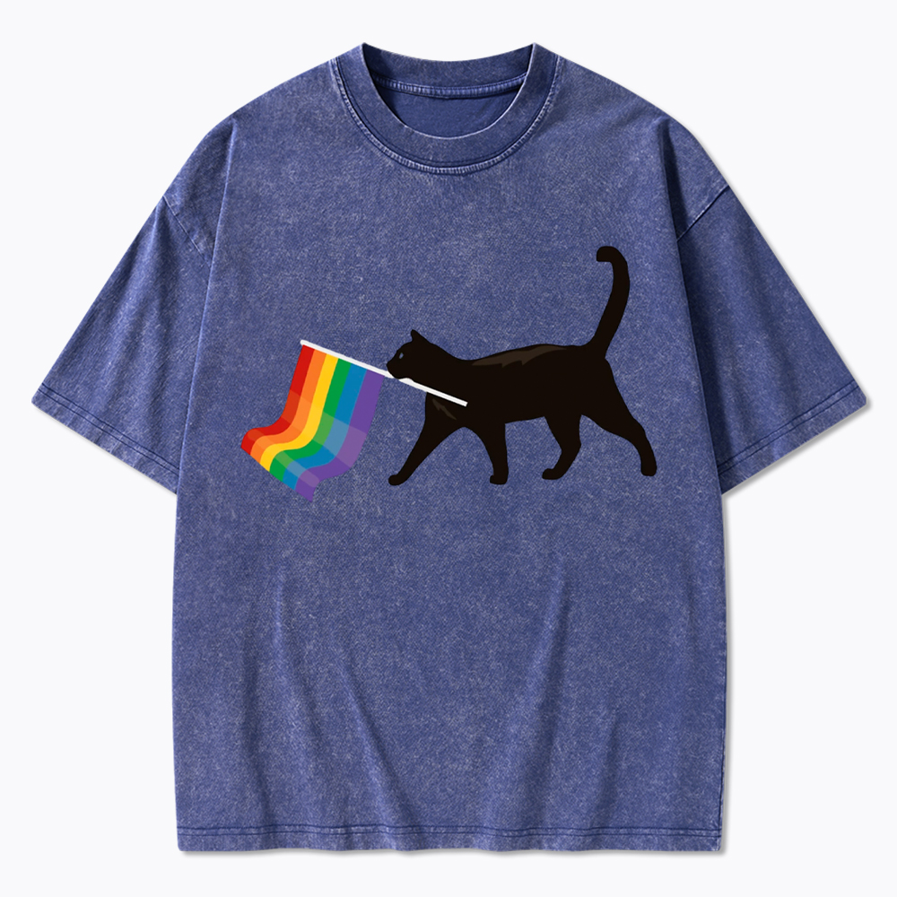 A Little Gay Cat Friend Washed T-Shirt