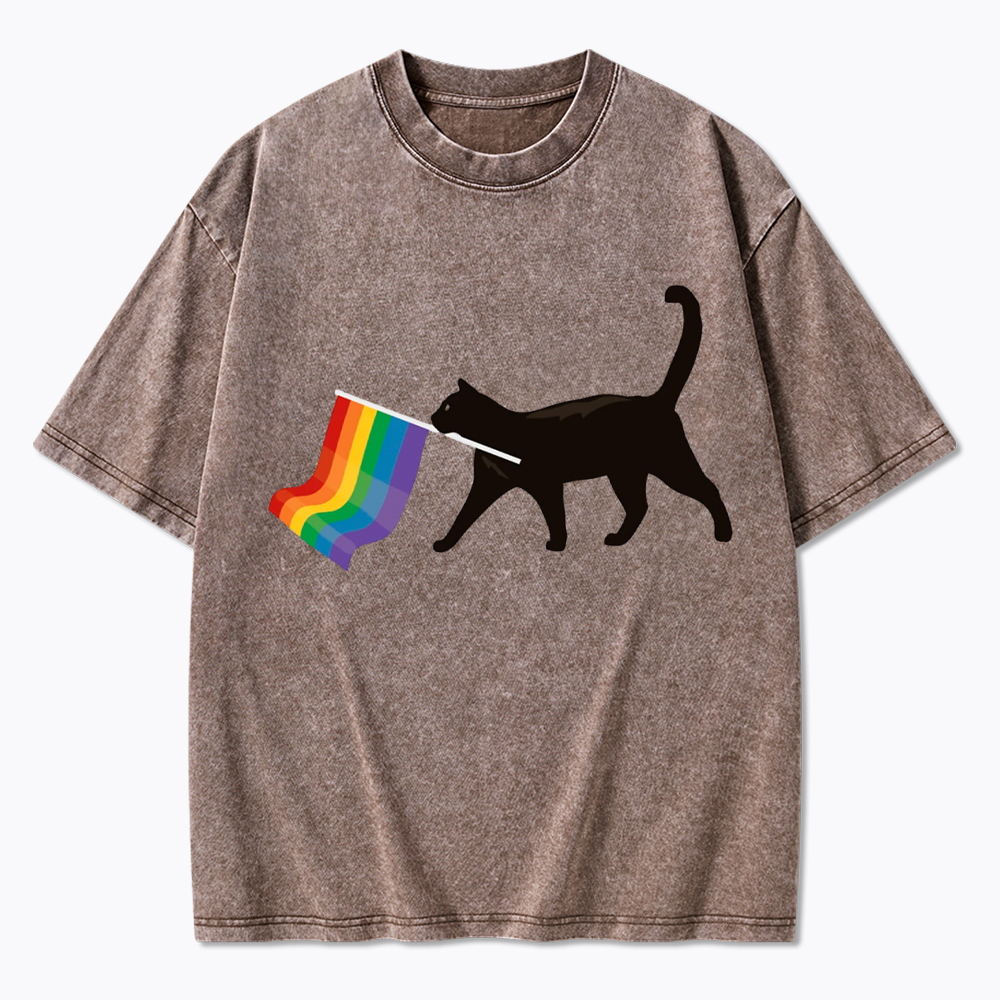 A Little Gay Cat Friend Washed T-Shirt