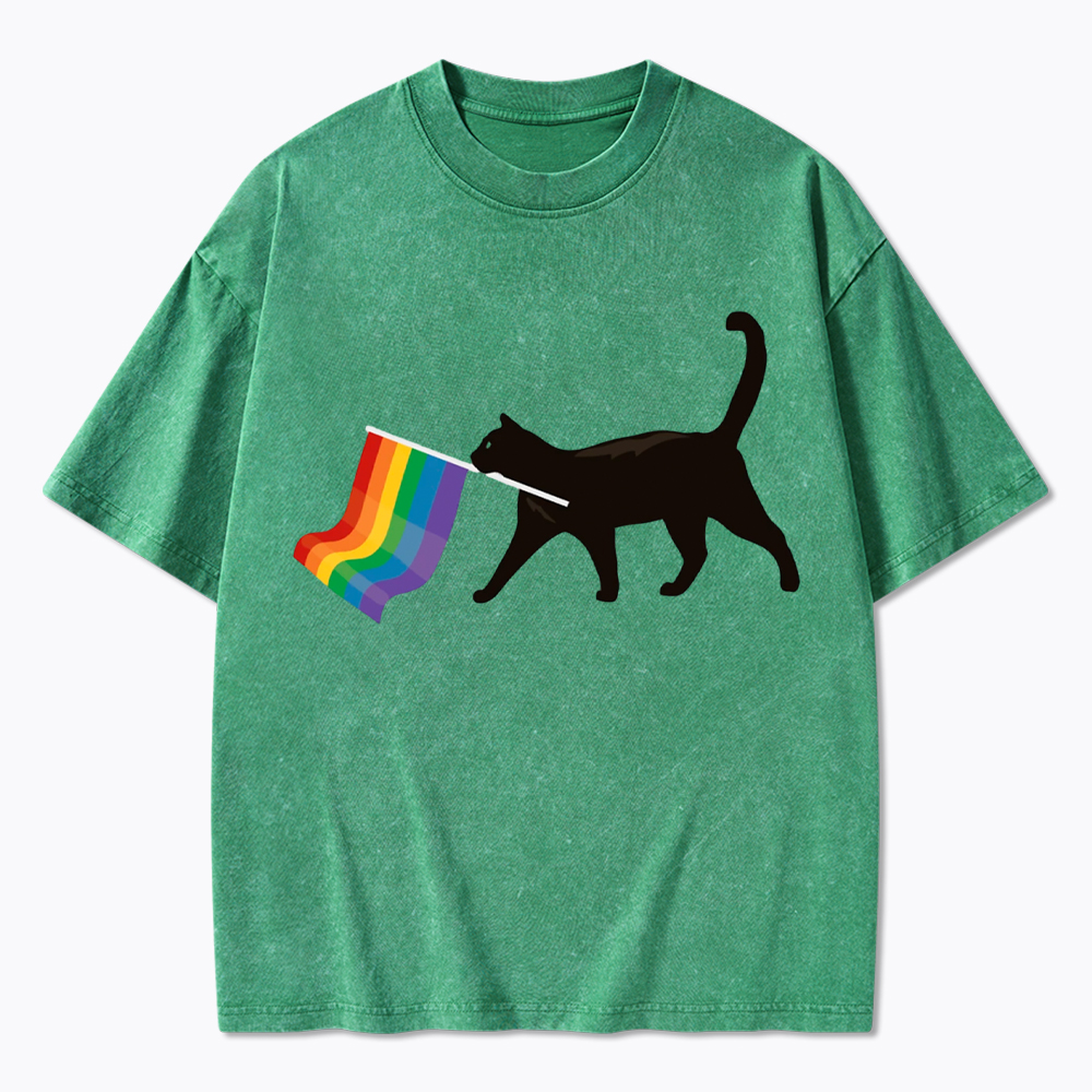 A Little Gay Cat Friend Washed T-Shirt