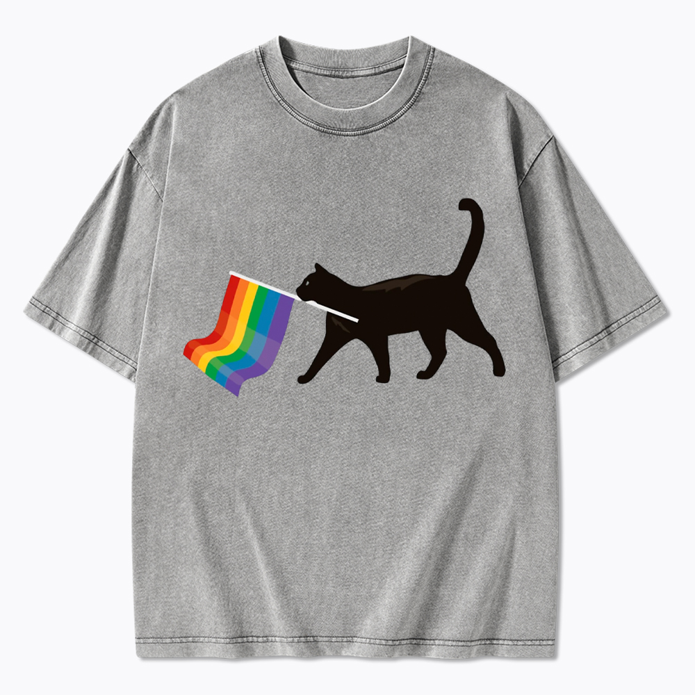 A Little Gay Cat Friend Washed T-Shirt