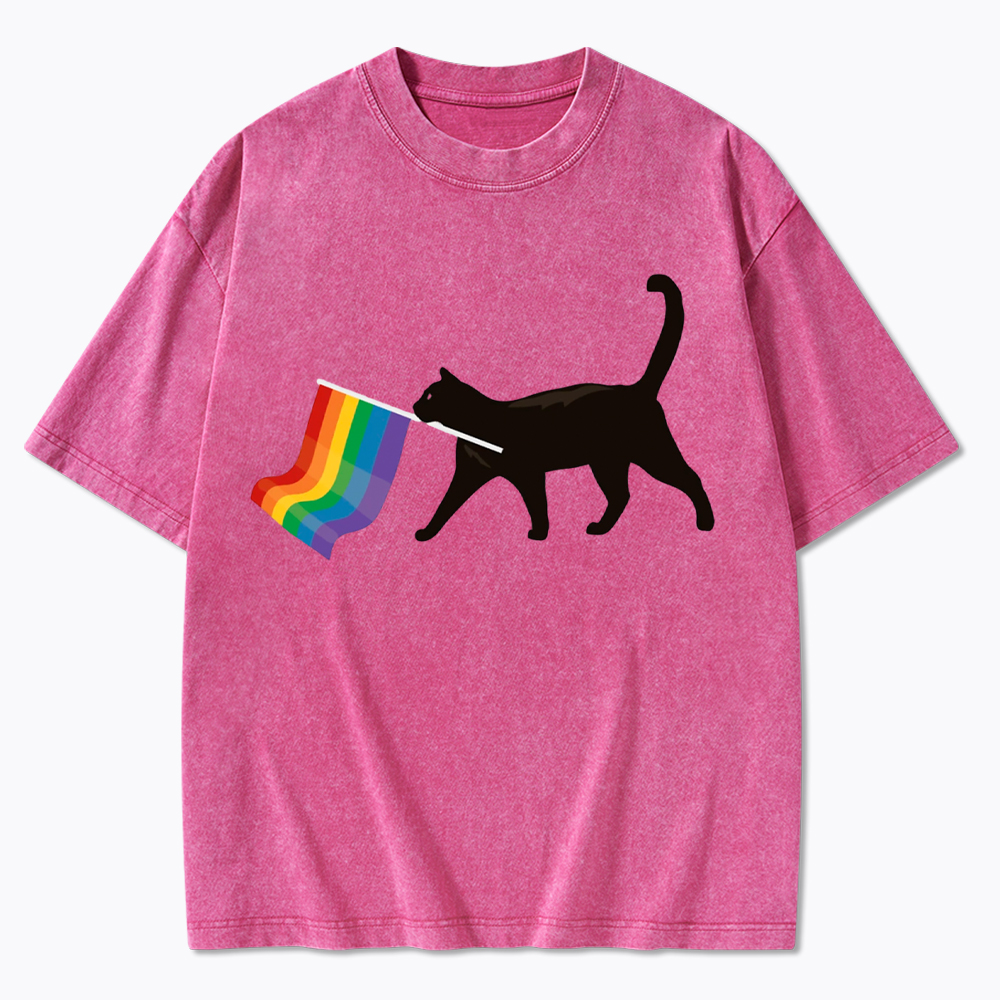 A Little Gay Cat Friend Washed T-Shirt
