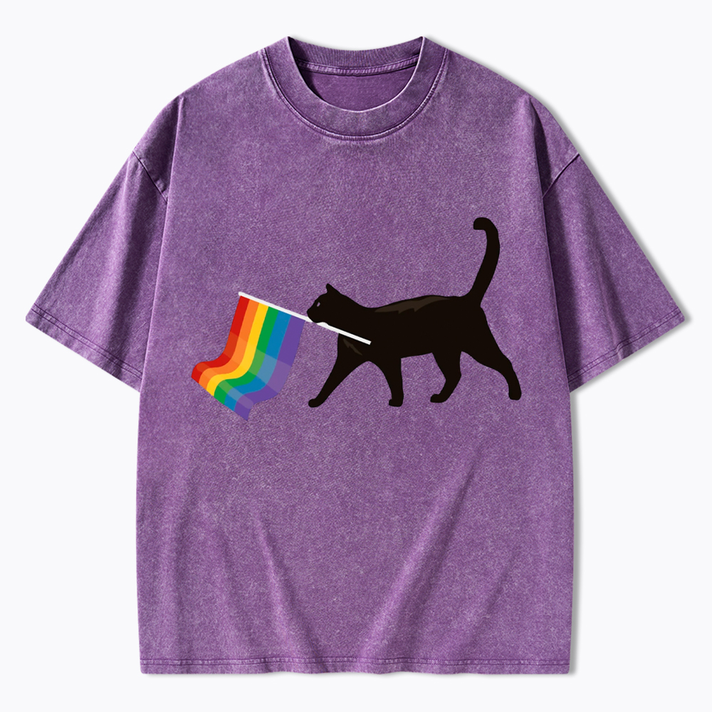 A Little Gay Cat Friend Washed T-Shirt
