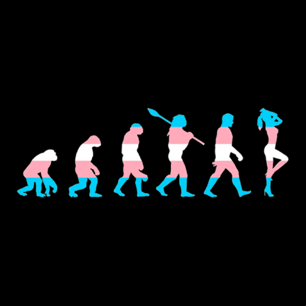 Trans Woman Evolution Washed T-Shirt