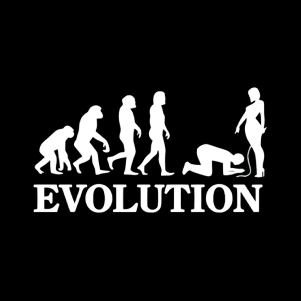Funny Evolution Simps Washed T-Shirt