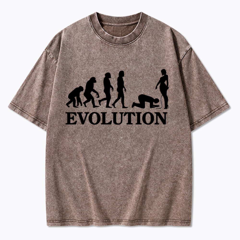 Funny Evolution Simps Washed T-Shirt