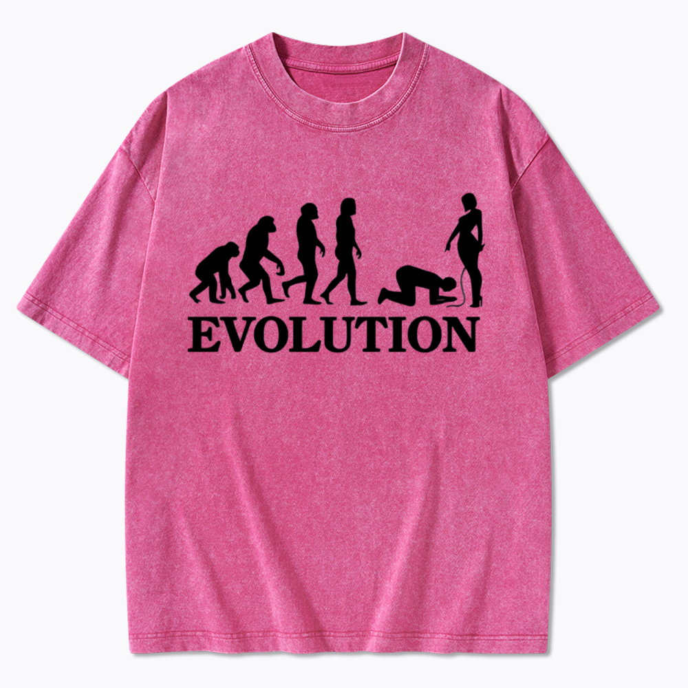 Funny Evolution Simps Washed T-Shirt