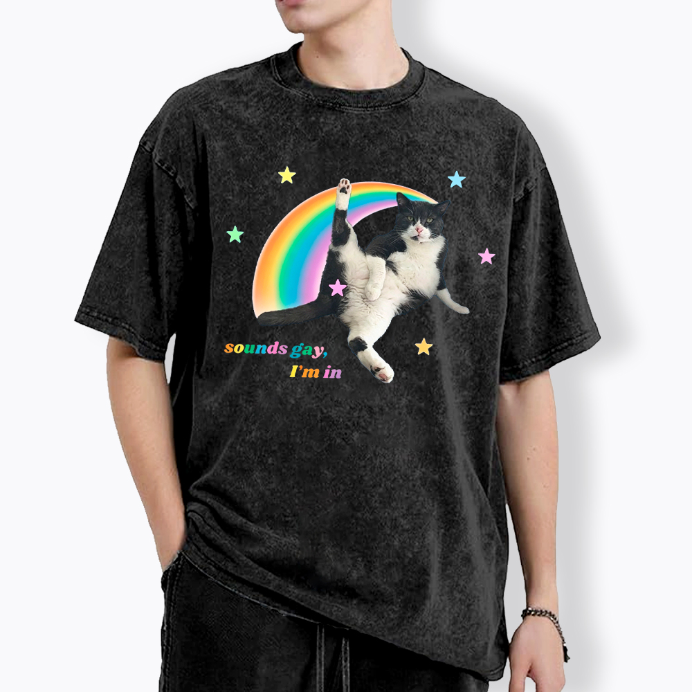 Sounds gay, I'm in Washed T-Shirt