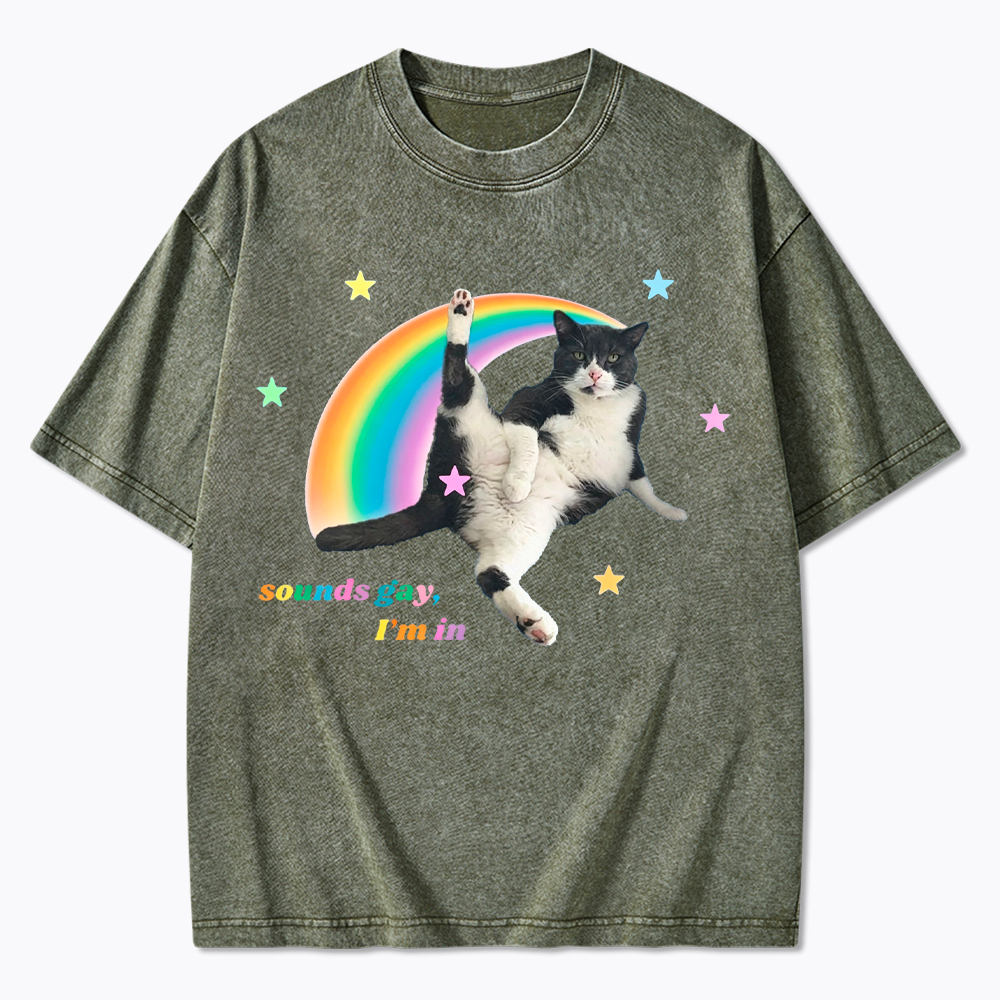 Sounds gay, I'm in Washed T-Shirt