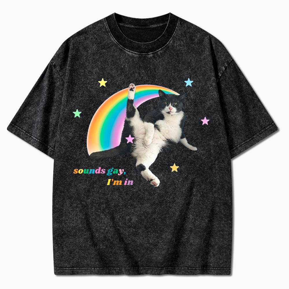 Sounds gay, I'm in Washed T-Shirt