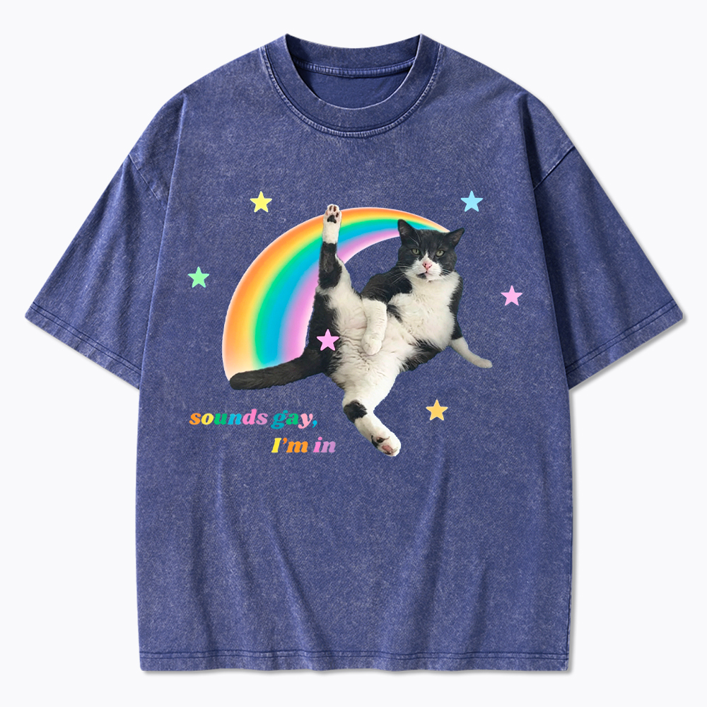 Sounds gay, I'm in Washed T-Shirt
