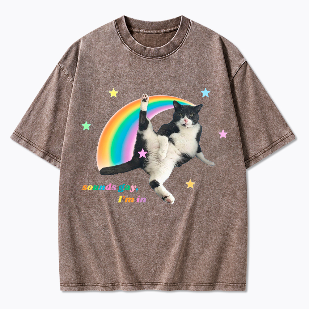 Sounds gay, I'm in Washed T-Shirt