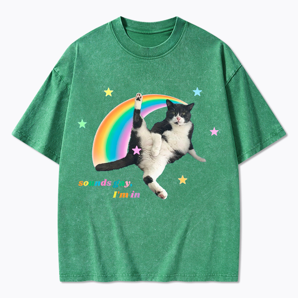 Sounds gay, I'm in Washed T-Shirt