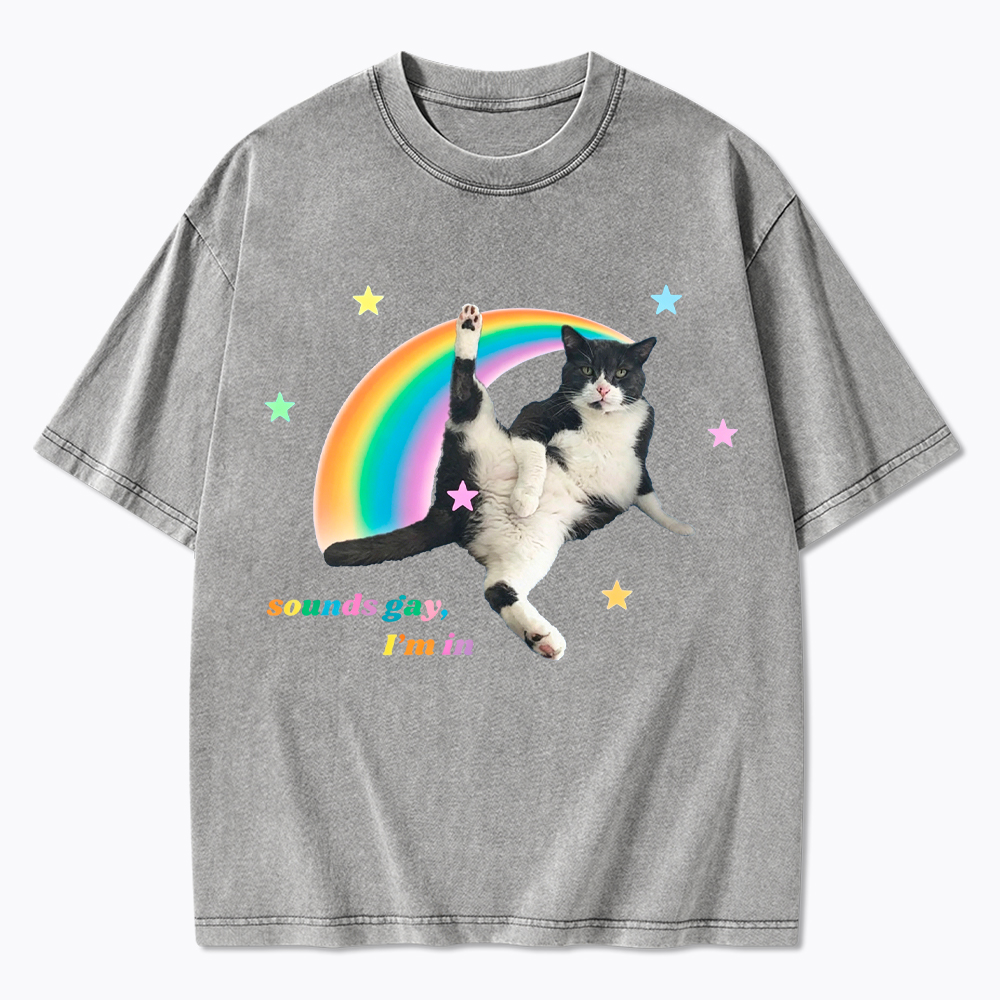 Sounds gay, I'm in Washed T-Shirt