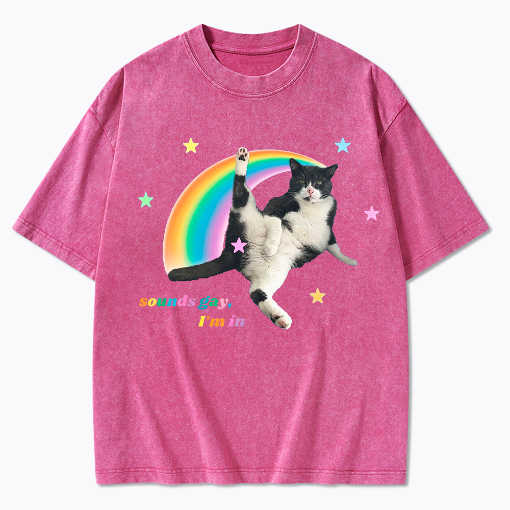 Sounds gay, I'm in Washed T-Shirt