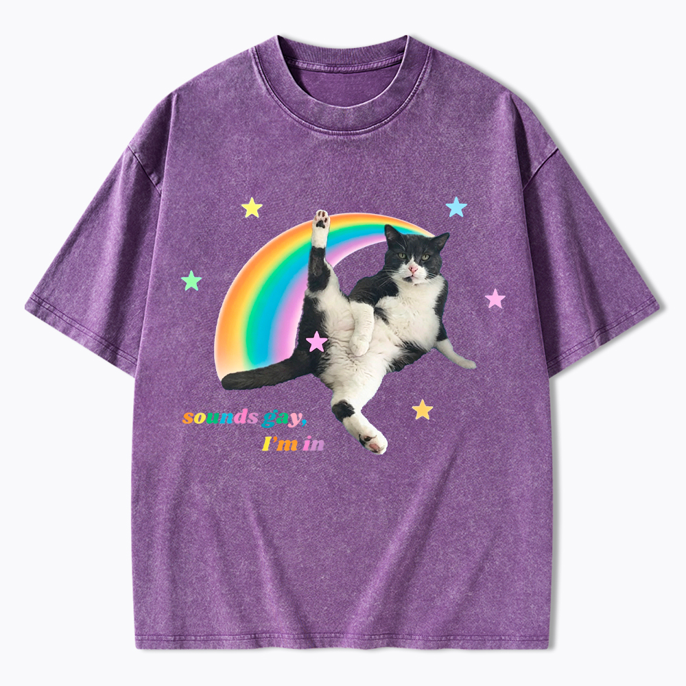 Sounds gay, I'm in Washed T-Shirt
