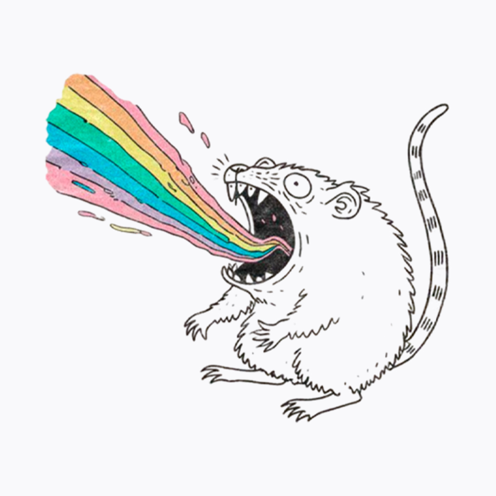 Rainbow Possum Puke Washed T-Shirt