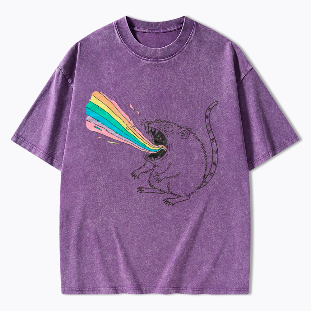 Rainbow Possum Puke Washed T-Shirt