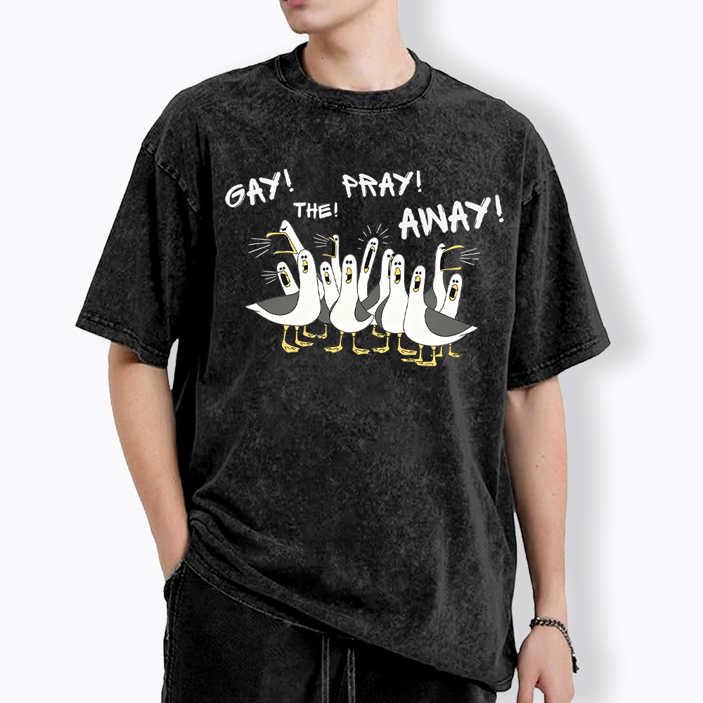 Gay The Pray Away Seagull Washed T-Shirt