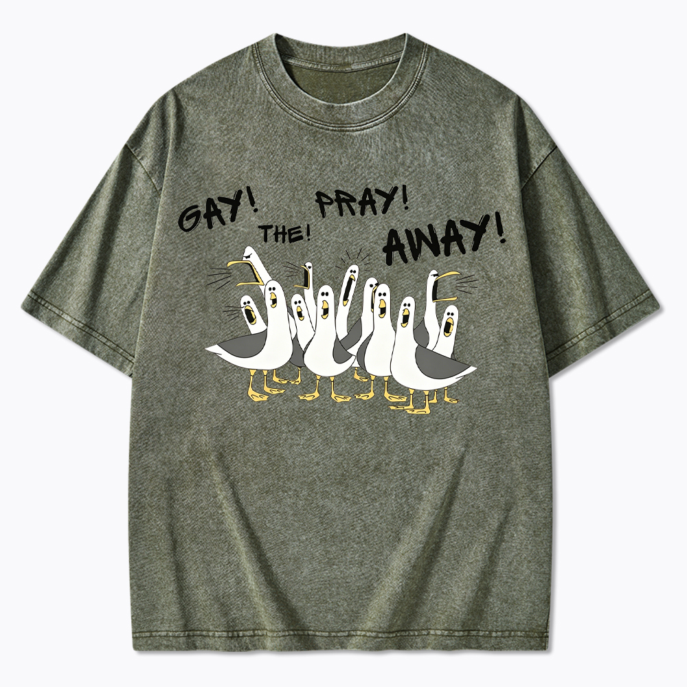 Gay The Pray Away Seagull Washed T-Shirt