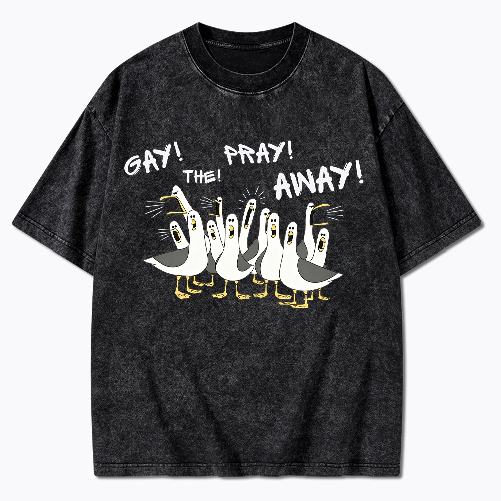 Gay The Pray Away Seagull Washed T-Shirt