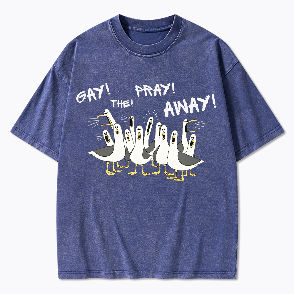 Gay The Pray Away Seagull Washed T-Shirt