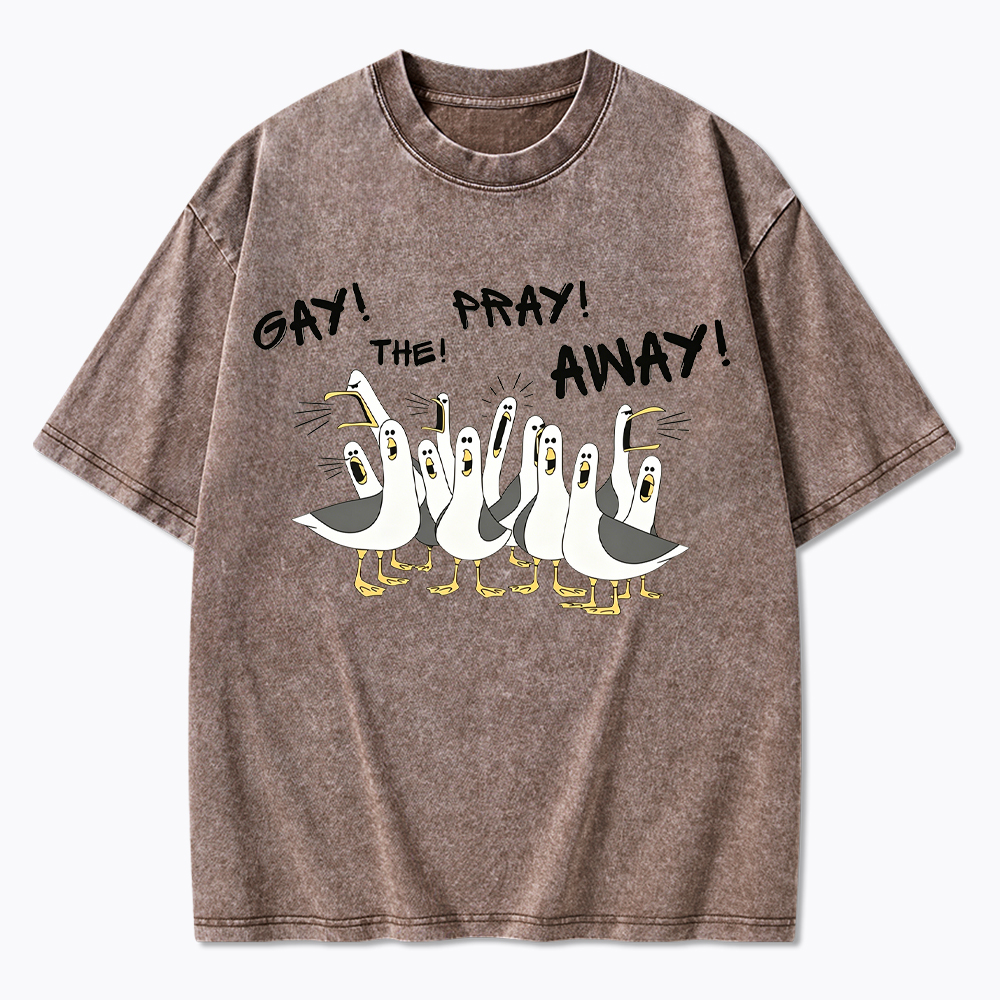 Gay The Pray Away Seagull Washed T-Shirt