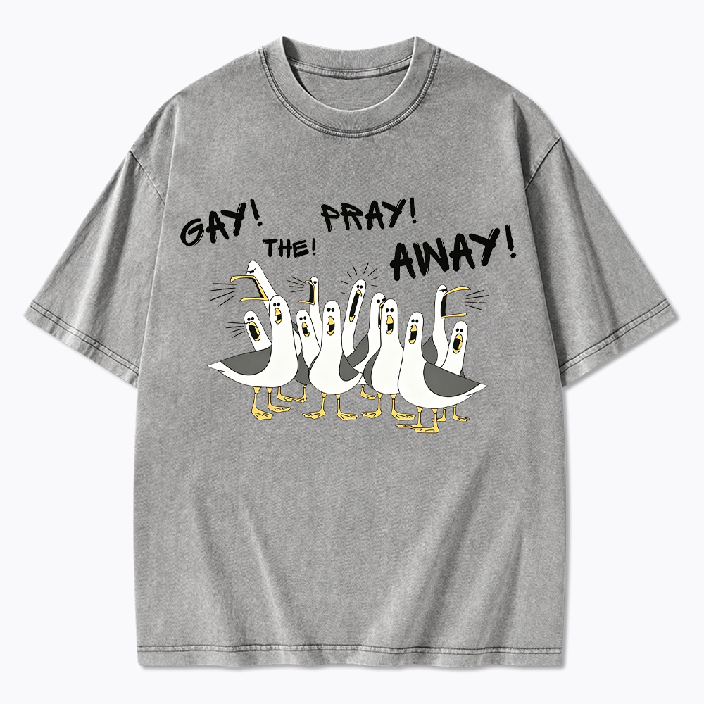 Gay The Pray Away Seagull Washed T-Shirt