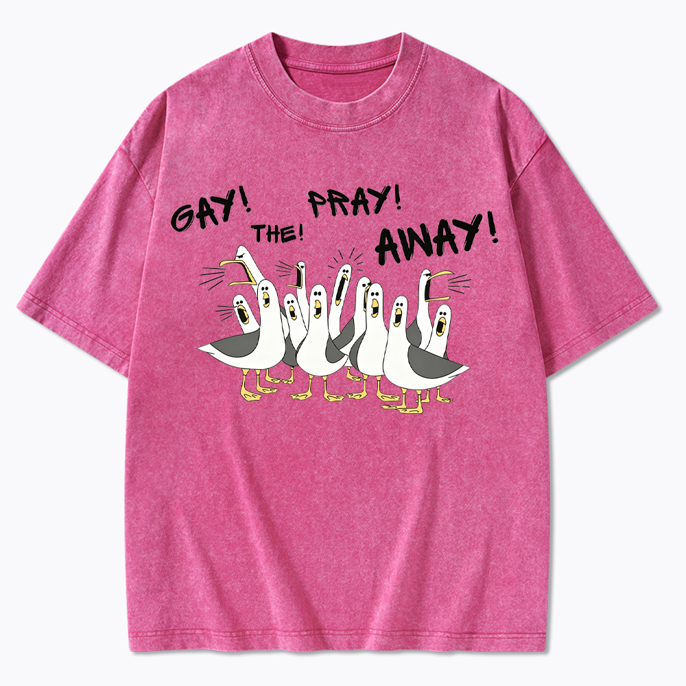 Gay The Pray Away Seagull Washed T-Shirt