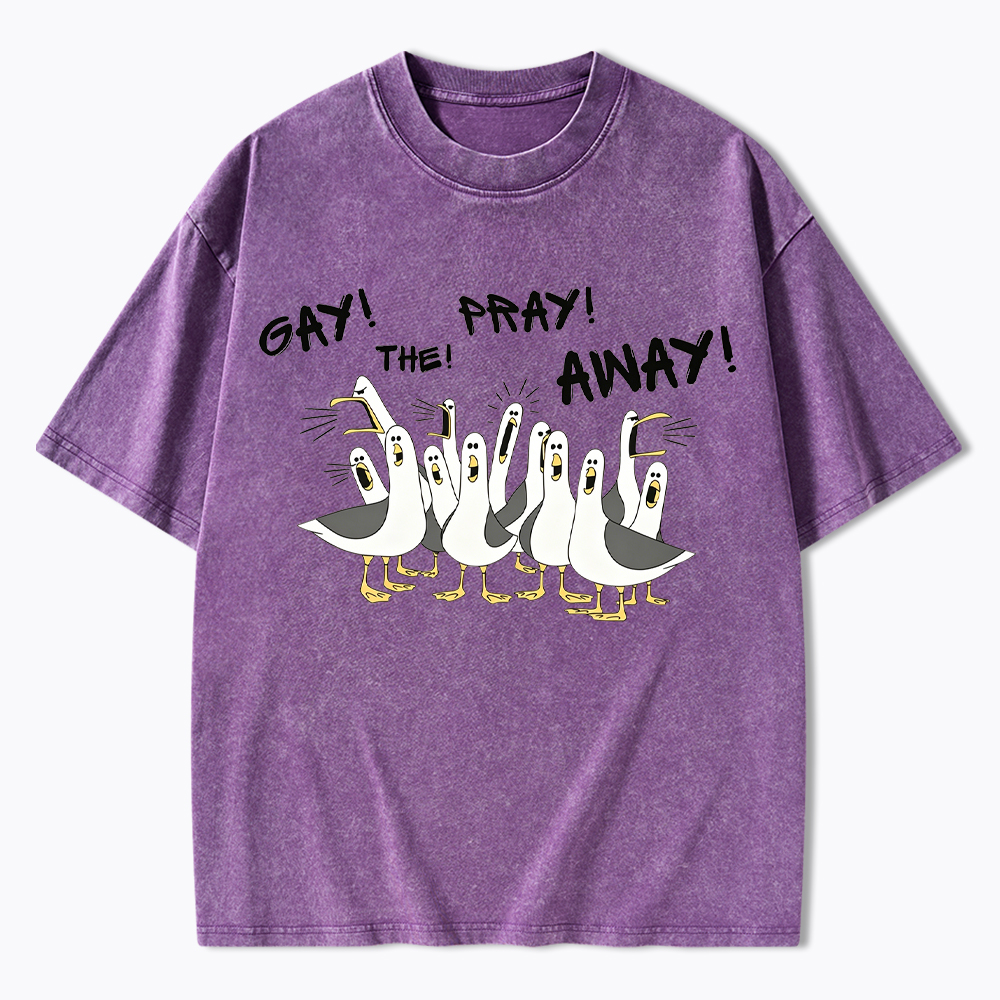 Gay The Pray Away Seagull Washed T-Shirt