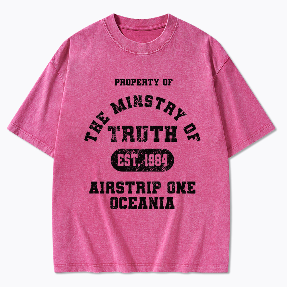 The Ministry of Truth Washed T-Shirt