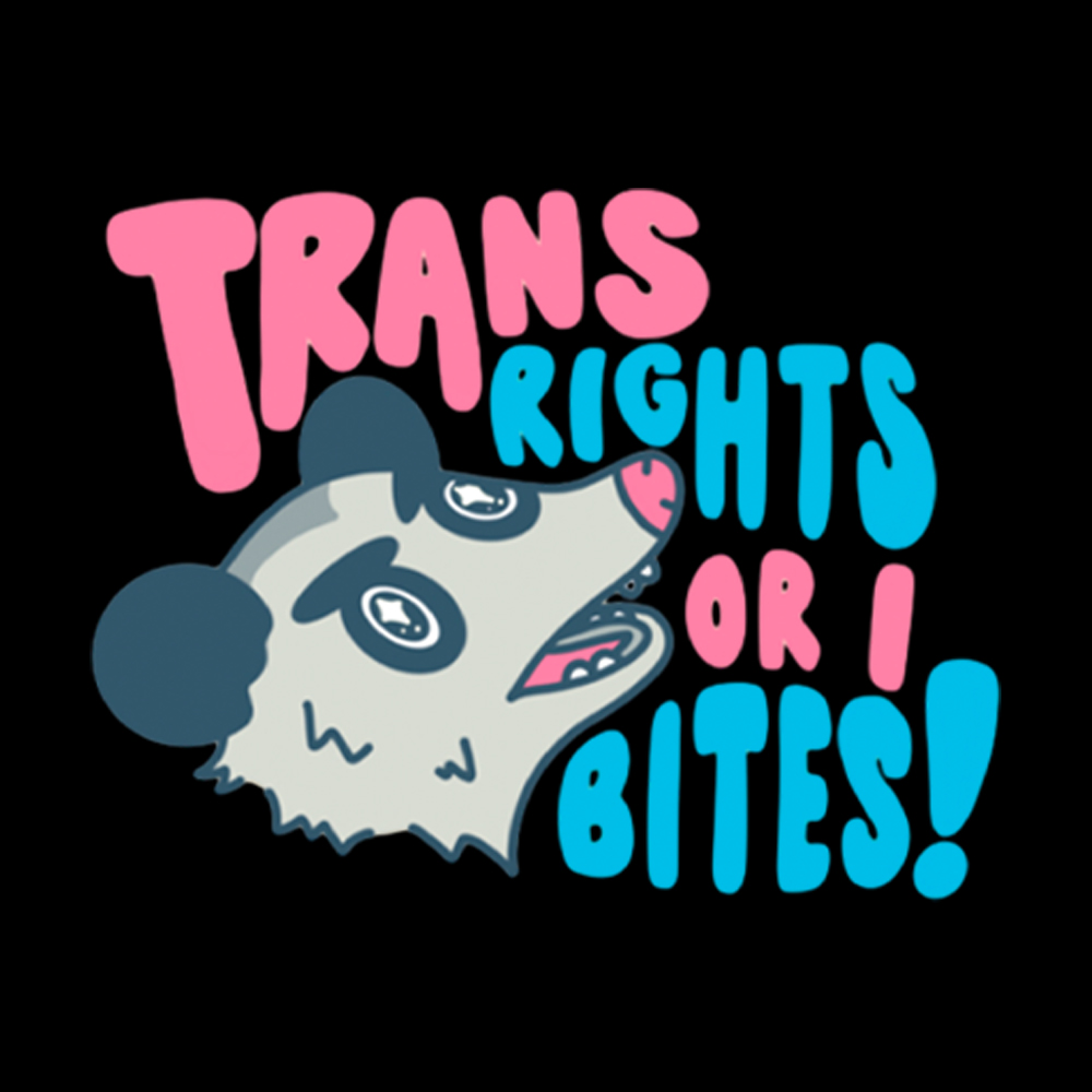 Trans Rights or I Bites Washed T-Shirt