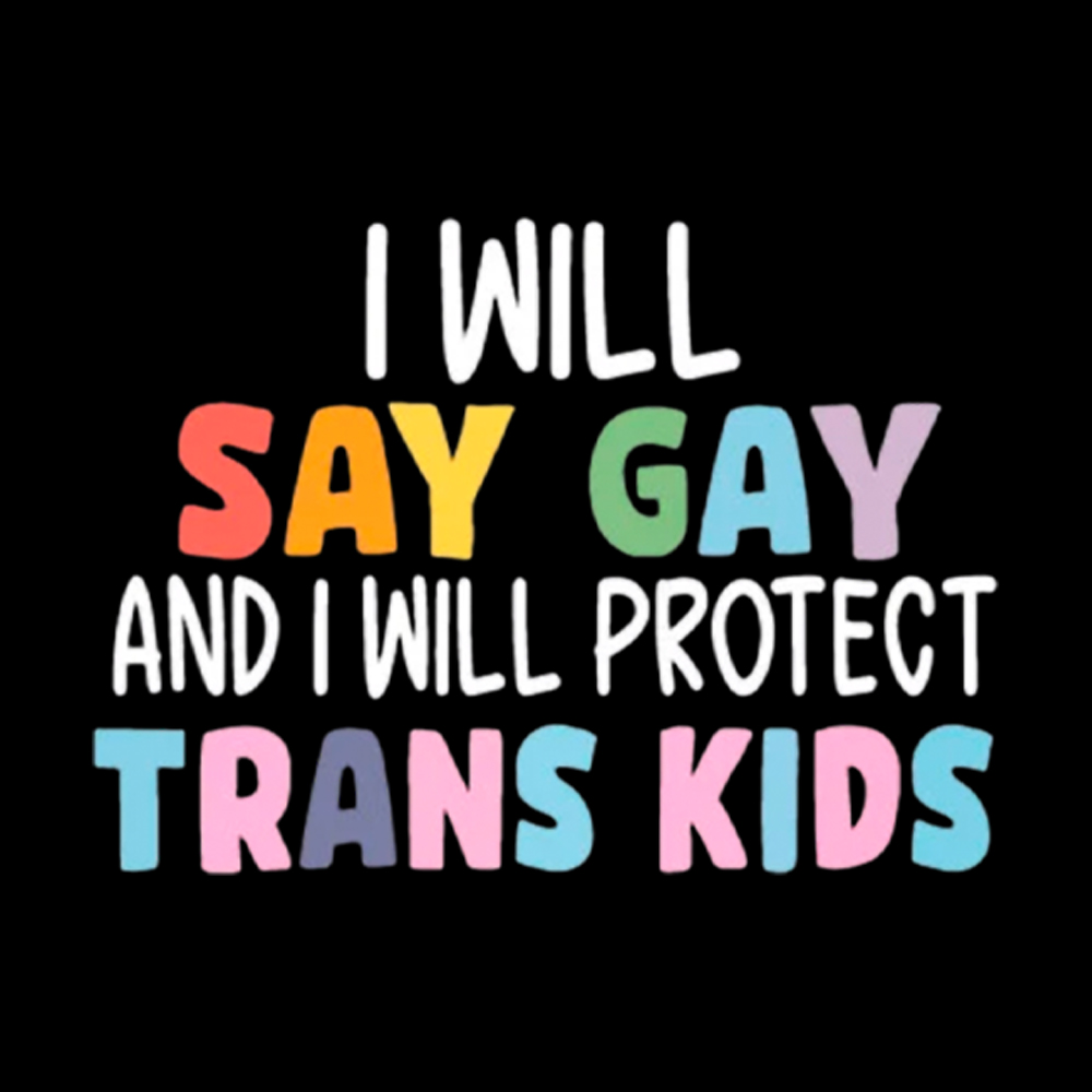 I Will Say Gay Protect Trans Kids Washed T-Shirt