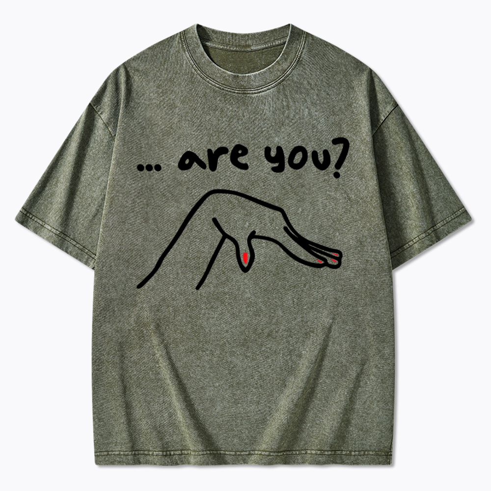 Are You You Know Gay Washed T-Shirt