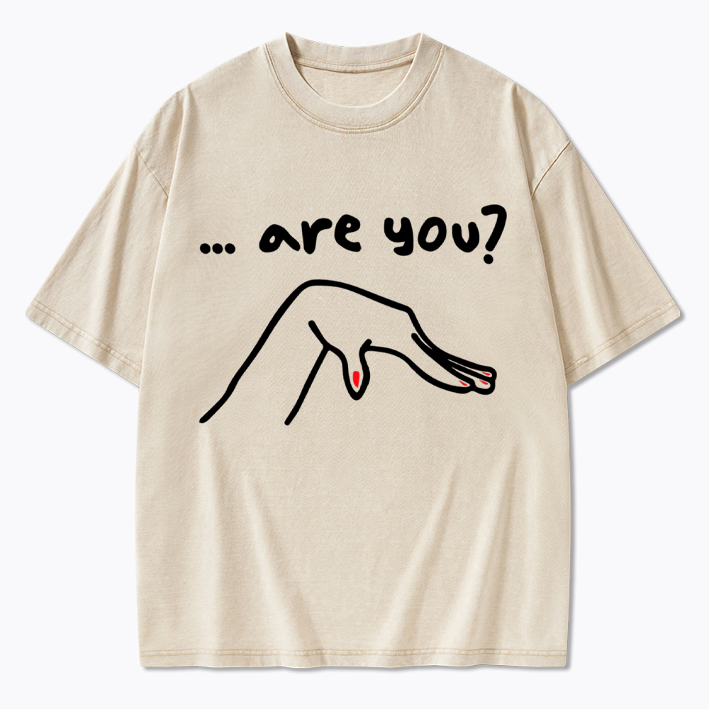 Are You You Know Gay Washed T-Shirt