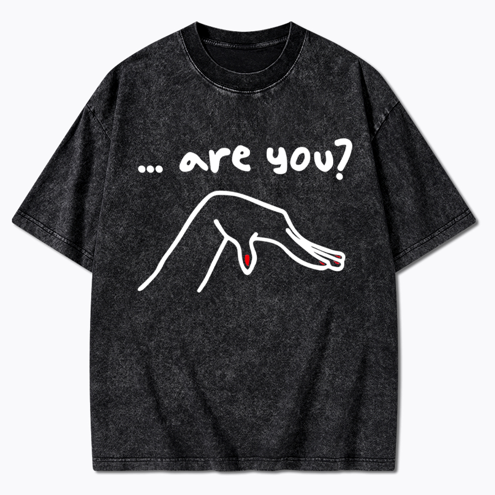 Are You You Know Gay Washed T-Shirt