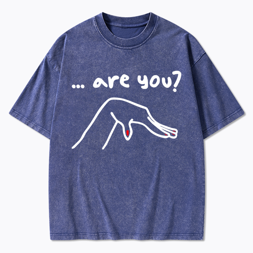 Are You You Know Gay Washed T-Shirt
