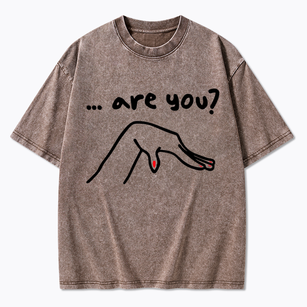 Are You You Know Gay Washed T-Shirt