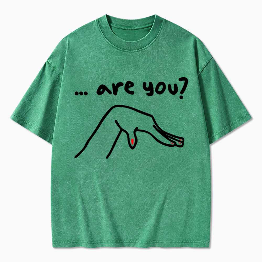 Are You You Know Gay Washed T-Shirt