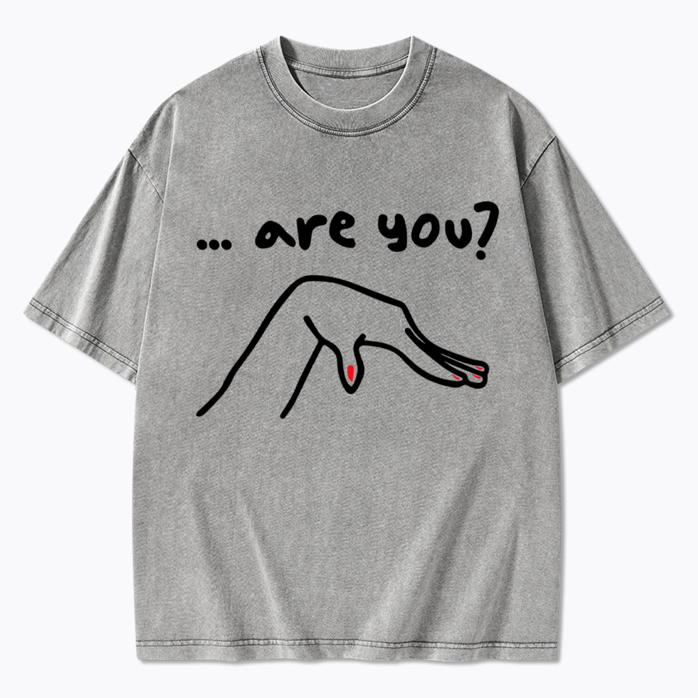 Are You You Know Gay Washed T-Shirt