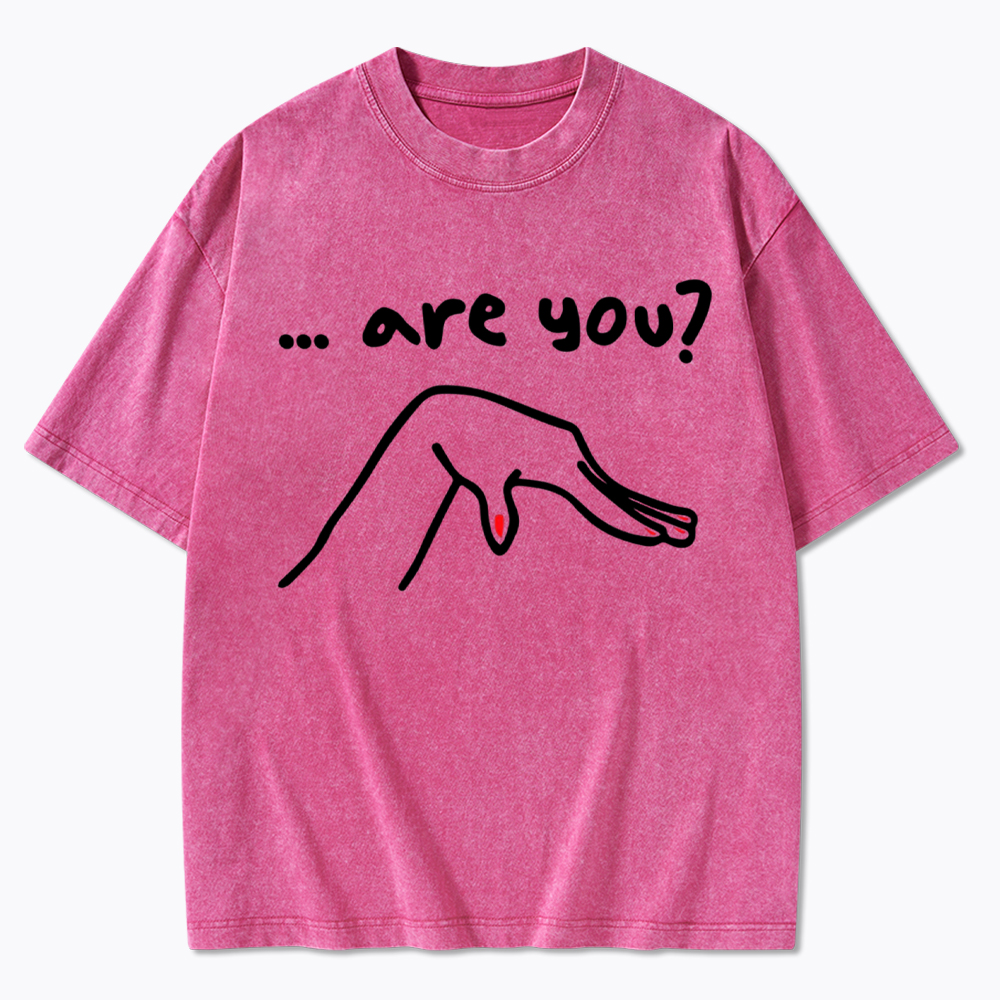 Are You You Know Gay Washed T-Shirt