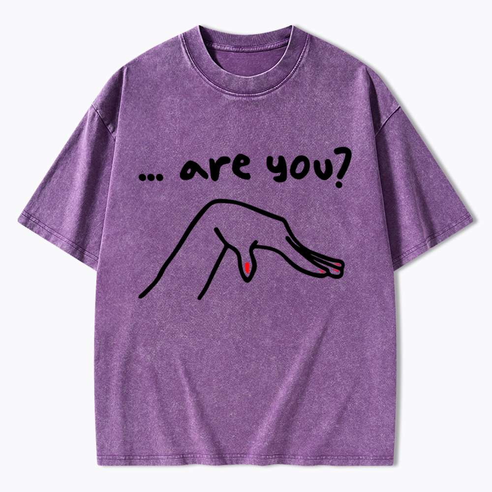 Are You You Know Gay Washed T-Shirt