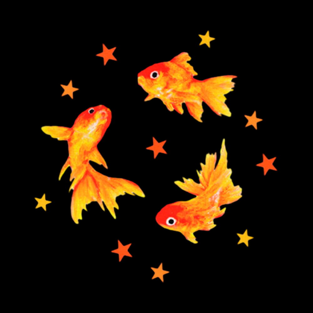 Goldfish Star LGBTQ Pride Washed T-Shirt