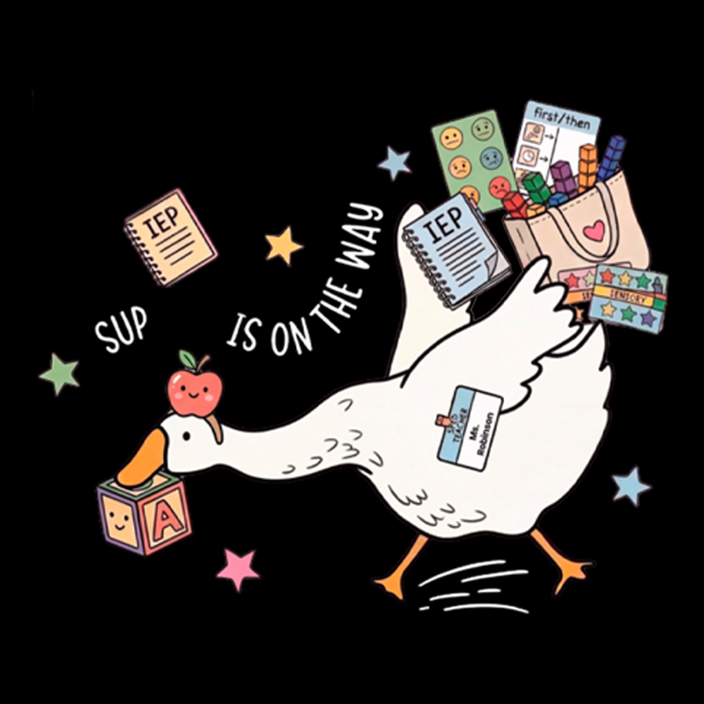 Silly Goose Special Education Washed T-Shirt