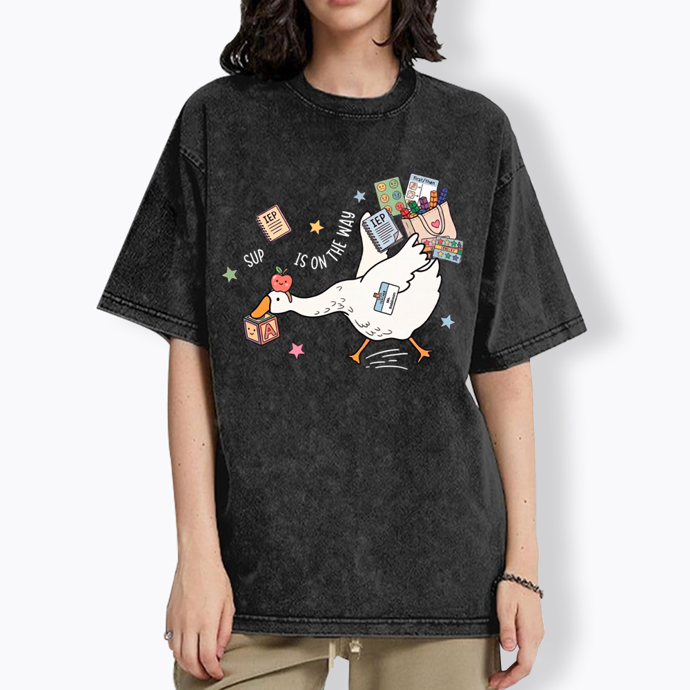 Silly Goose Special Education Washed T-Shirt