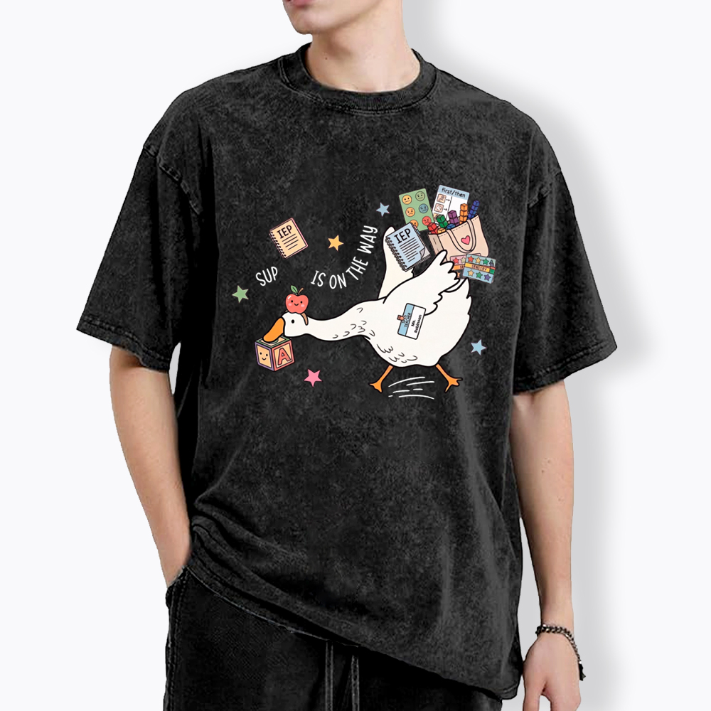 Silly Goose Special Education Washed T-Shirt